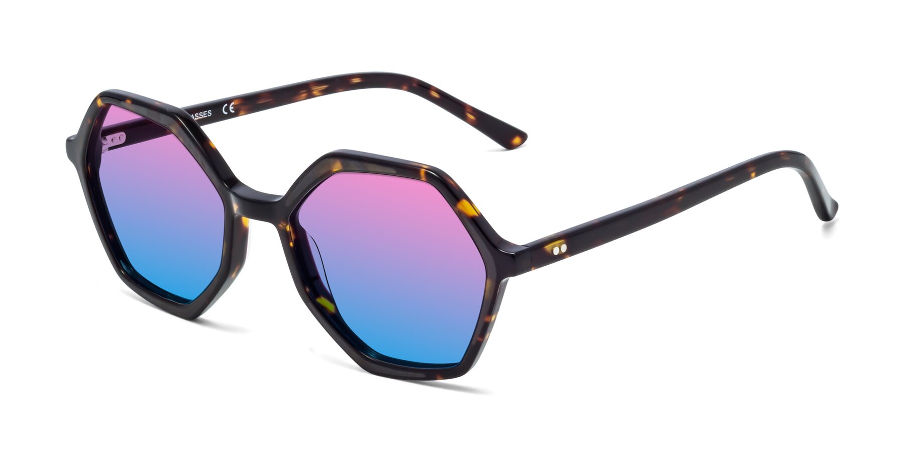 Angle of 1489 in Tortoise with Pink / Blue Gradient Lenses