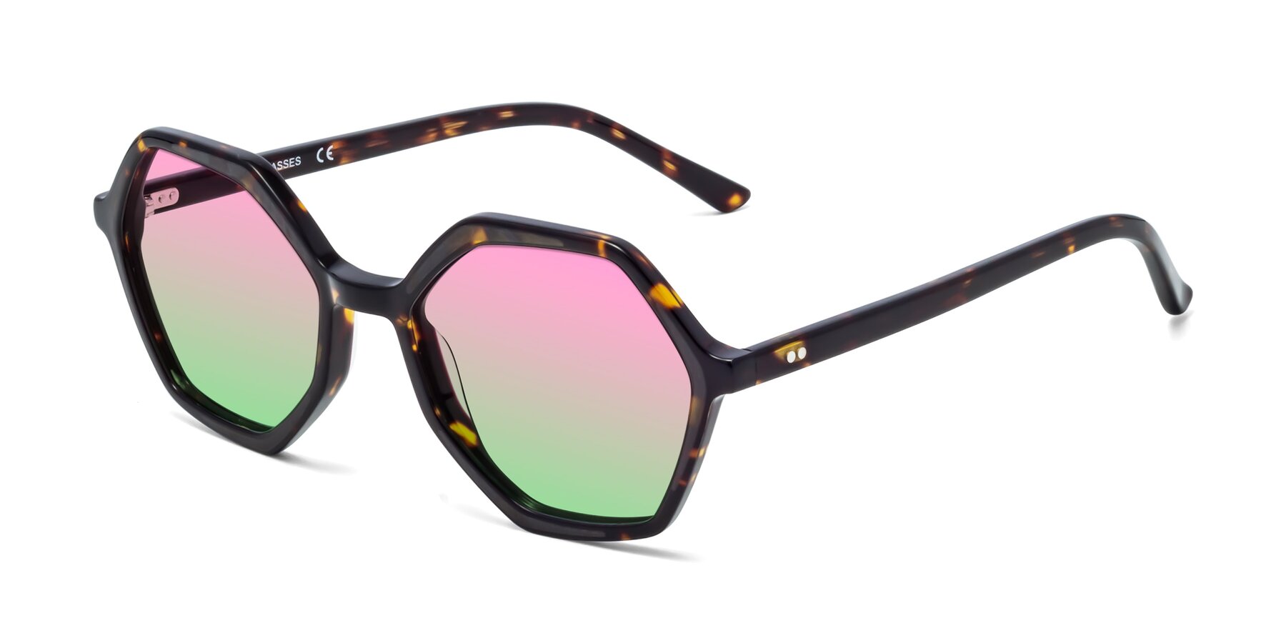 Angle of 1489 in Tortoise with Pink / Green Gradient Lenses
