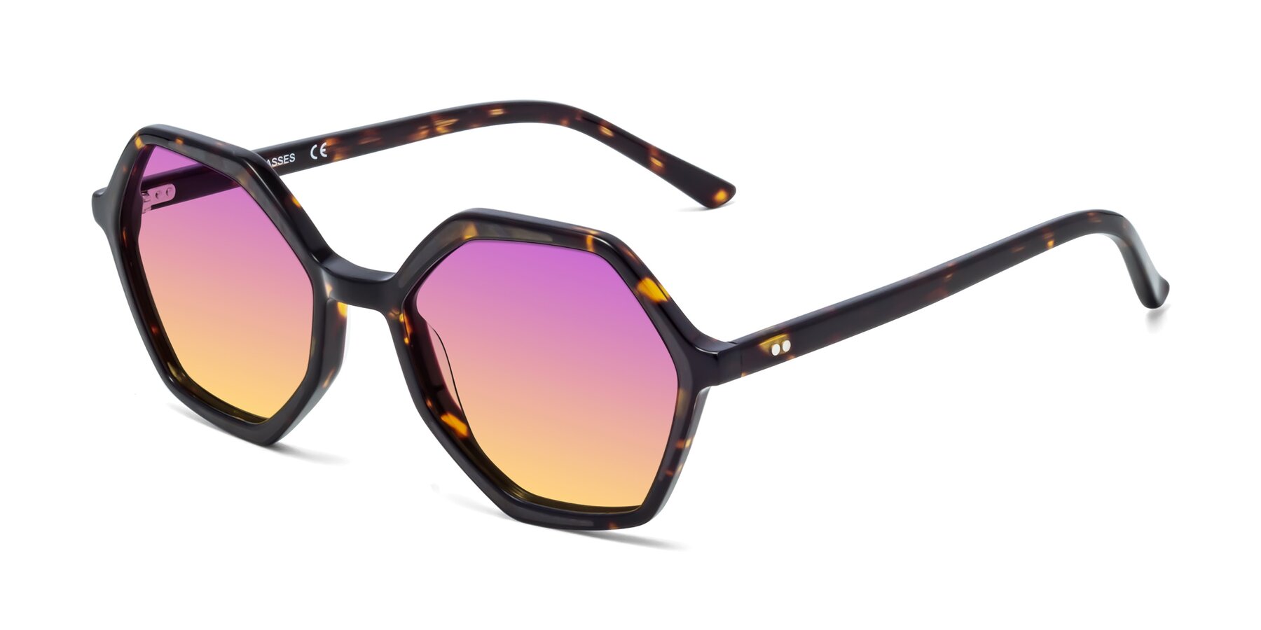 Angle of 1489 in Tortoise with Purple / Yellow Gradient Lenses