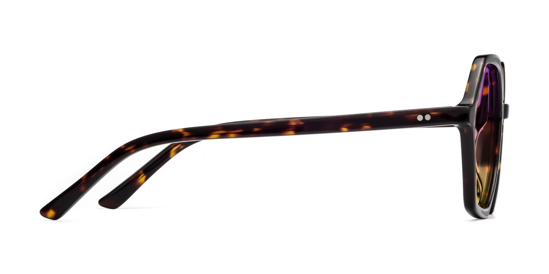 Side of 1489 in Tortoise with Purple / Yellow Gradient Lenses