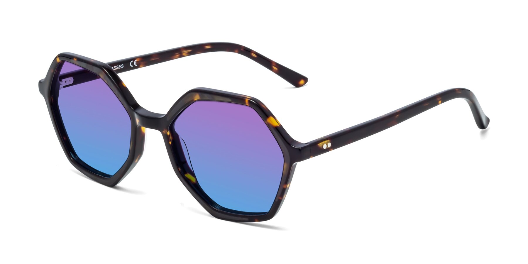 Angle of 1489 in Tortoise with Purple / Blue Gradient Lenses