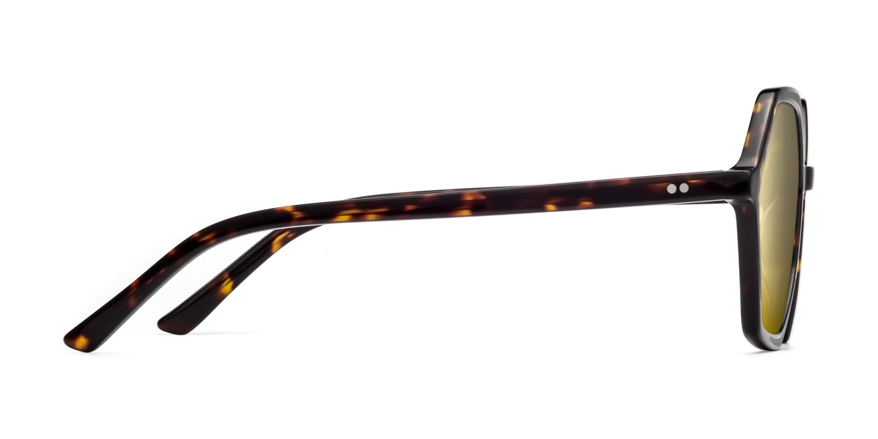 Side of 1489 in Tortoise with Gold Mirrored Lenses