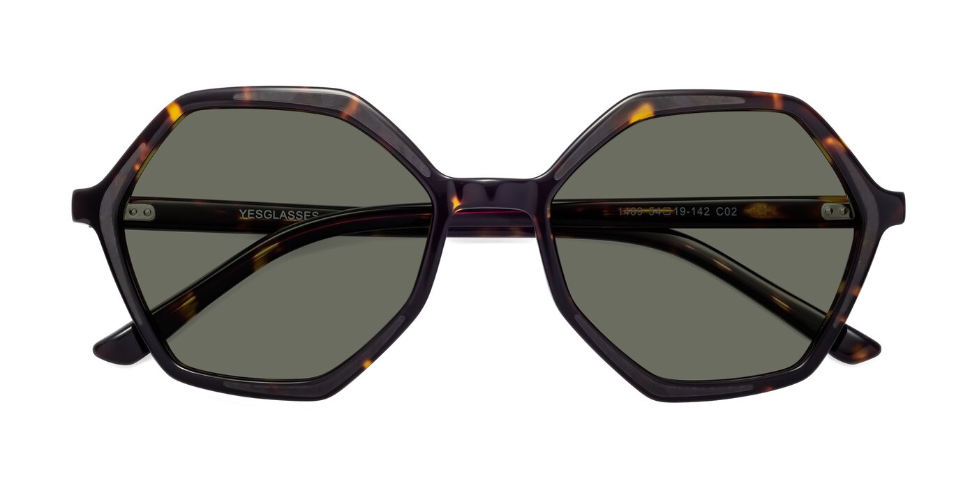 1489 - Tortoise Polarized Sunglasses