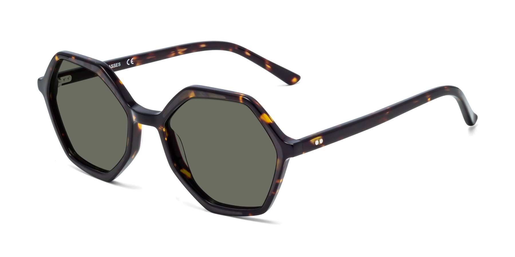 Angle of 1489 in Tortoise with Gray Polarized Lenses