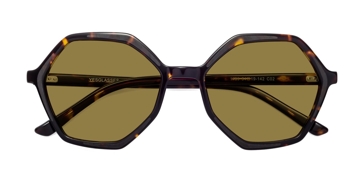 1489 - Tortoise Polarized Sunglasses