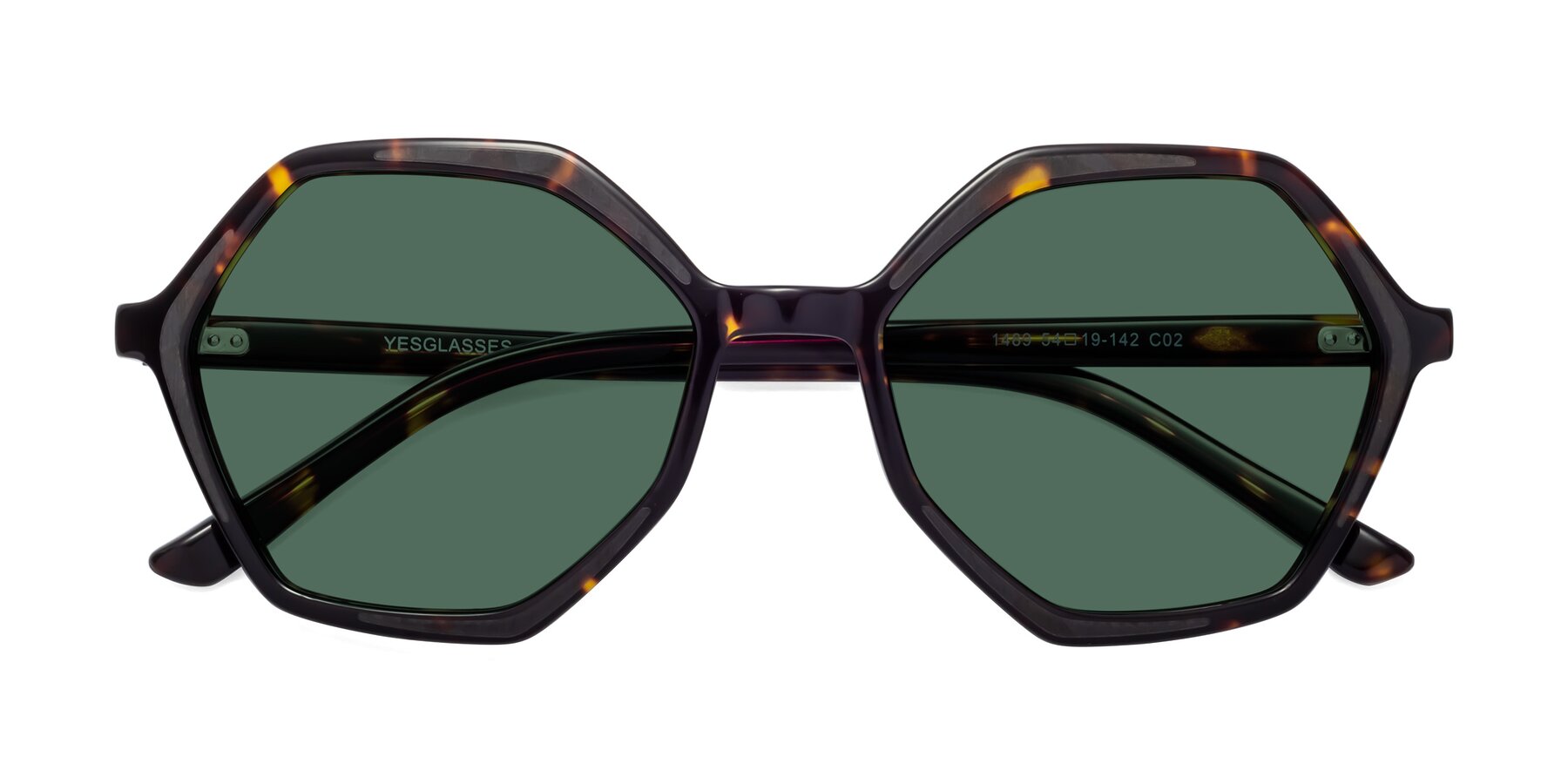Folded Front of 1489 in Tortoise with Green Polarized Lenses