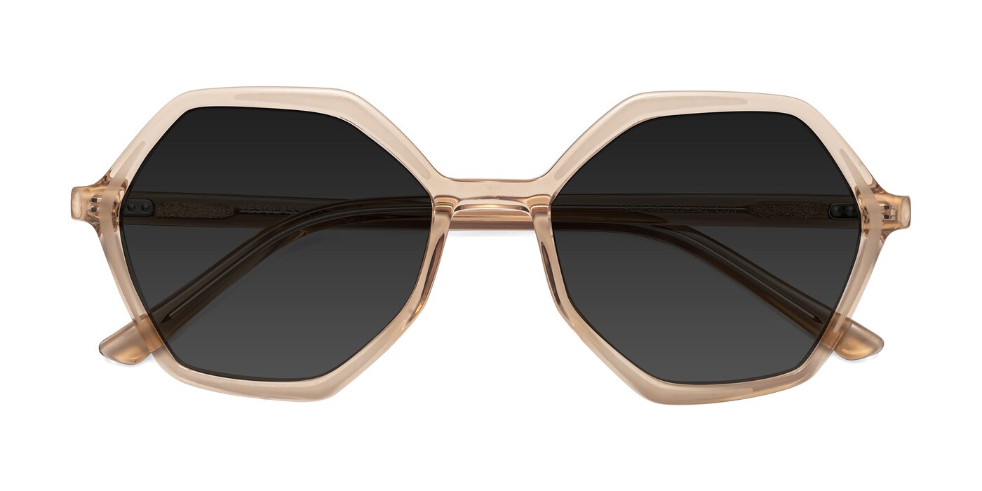 1489 - Light Brown Polarized Sunglasses