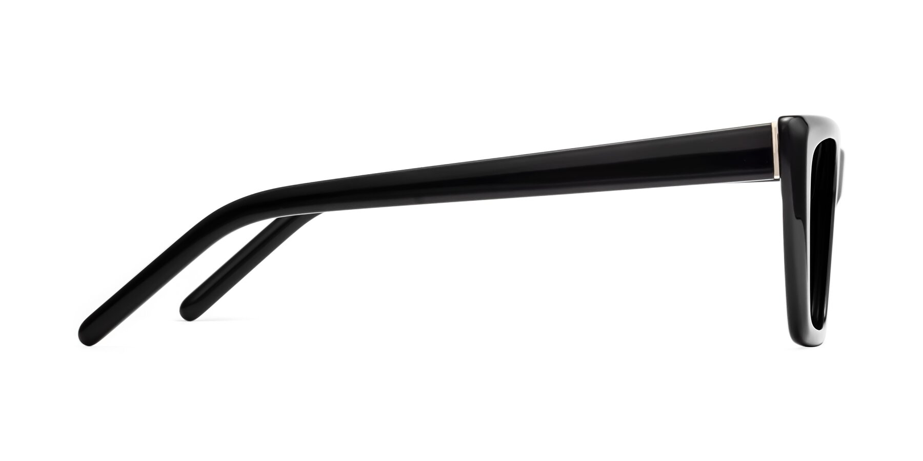 Side of 1494 in Black with Gray Polarized TAC Lenses