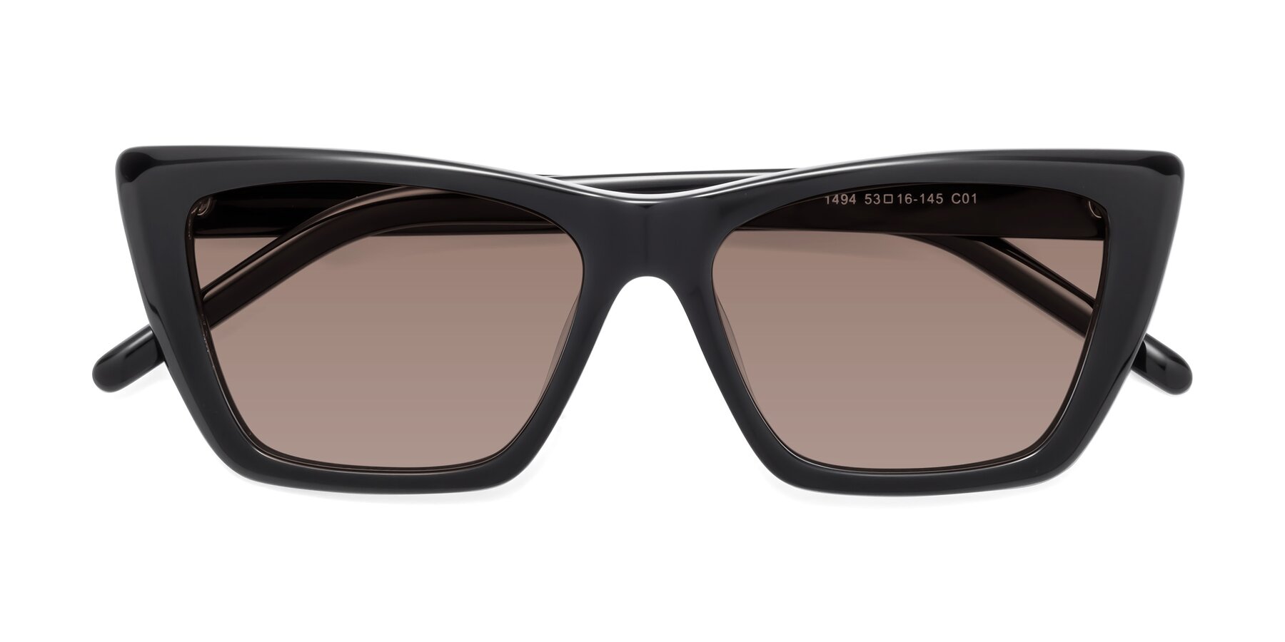 Folded Front of 1494 in Black with Medium Brown Tinted Lenses