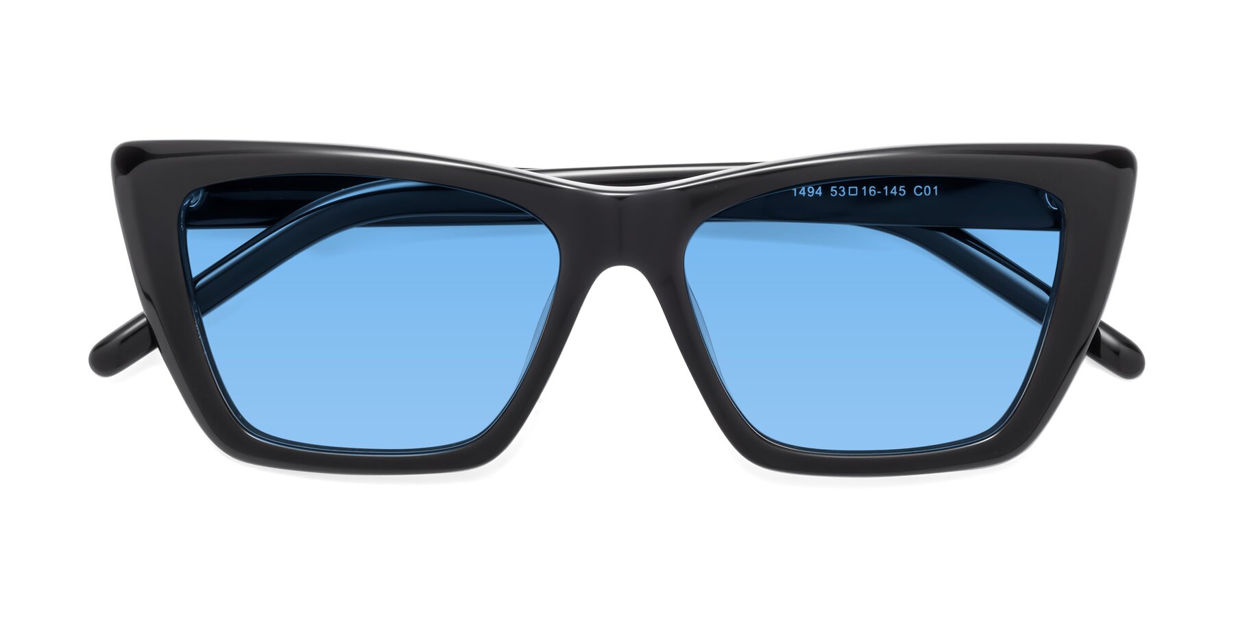 Folded Front of 1494 in Black with Medium Blue Tinted Lenses