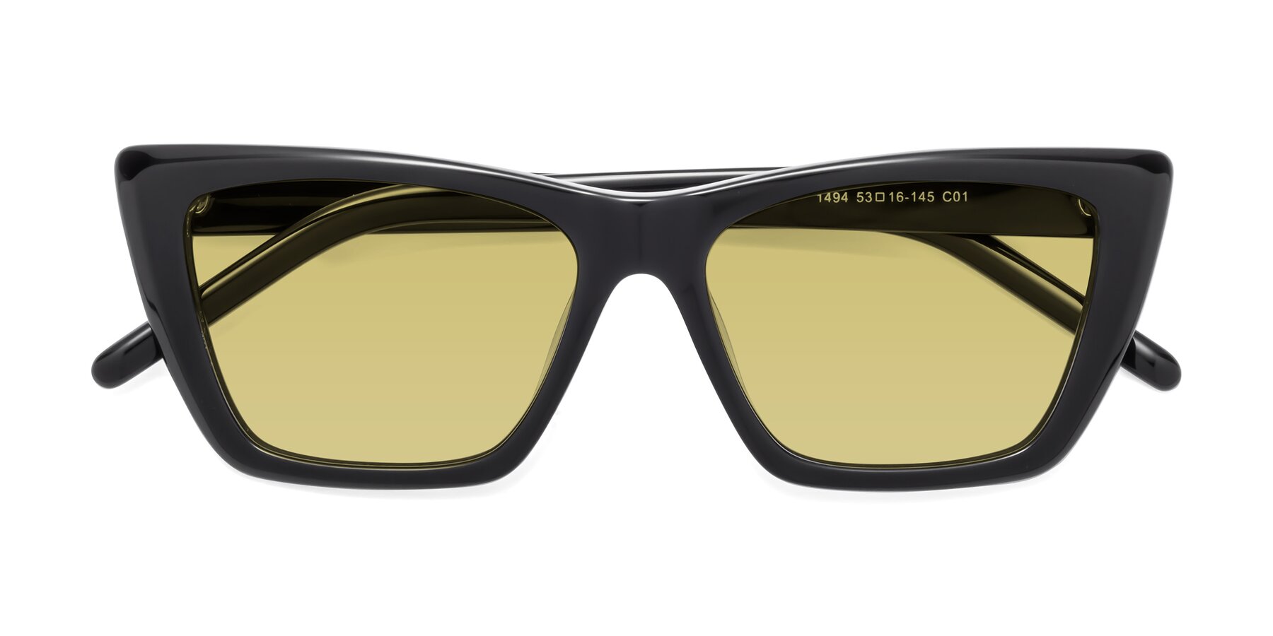 Folded Front of 1494 in Black with Medium Champagne Tinted Lenses