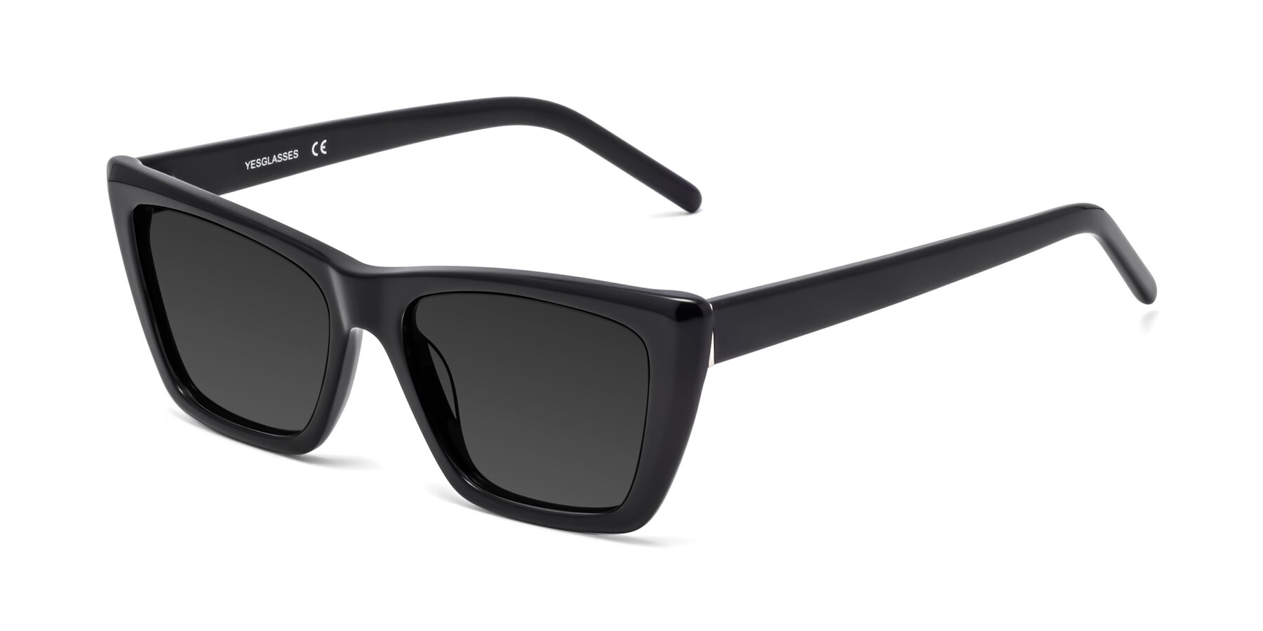 Angle of 1494 in Black with Gray Tinted Lenses