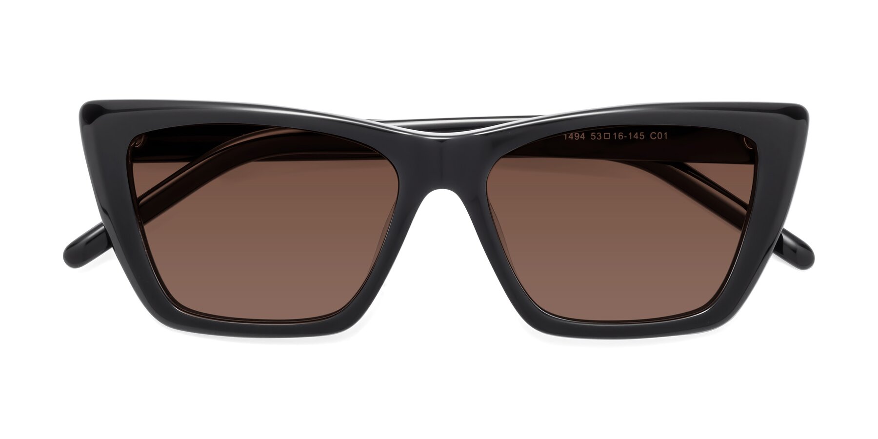 Folded Front of 1494 in Black with Brown Tinted Lenses