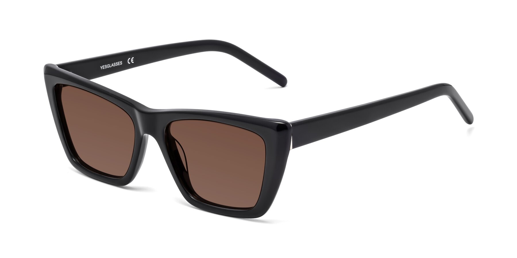 Angle of 1494 in Black with Brown Tinted Lenses