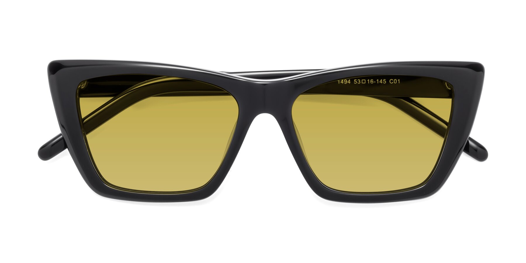 Folded Front of 1494 in Black with Champagne Tinted Lenses