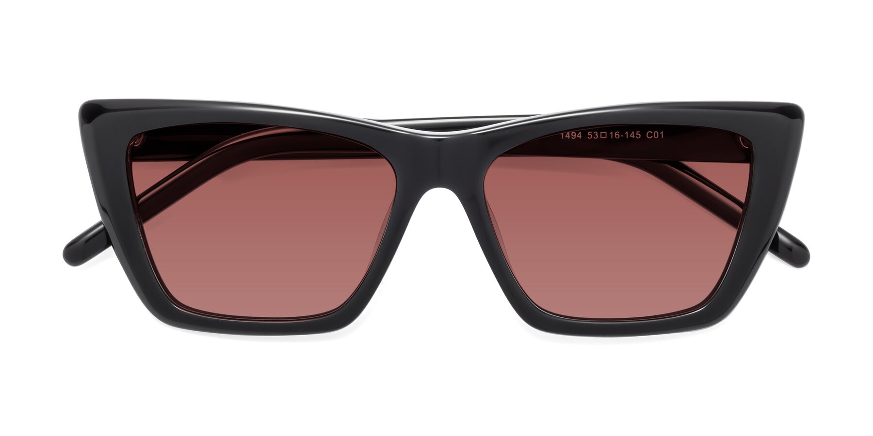 Folded Front of 1494 in Black with Garnet Tinted Lenses