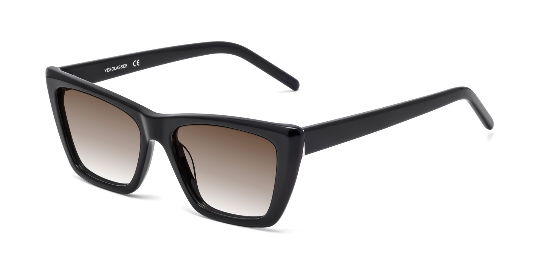 Angle of 1494 in Black with Brown Gradient Lenses