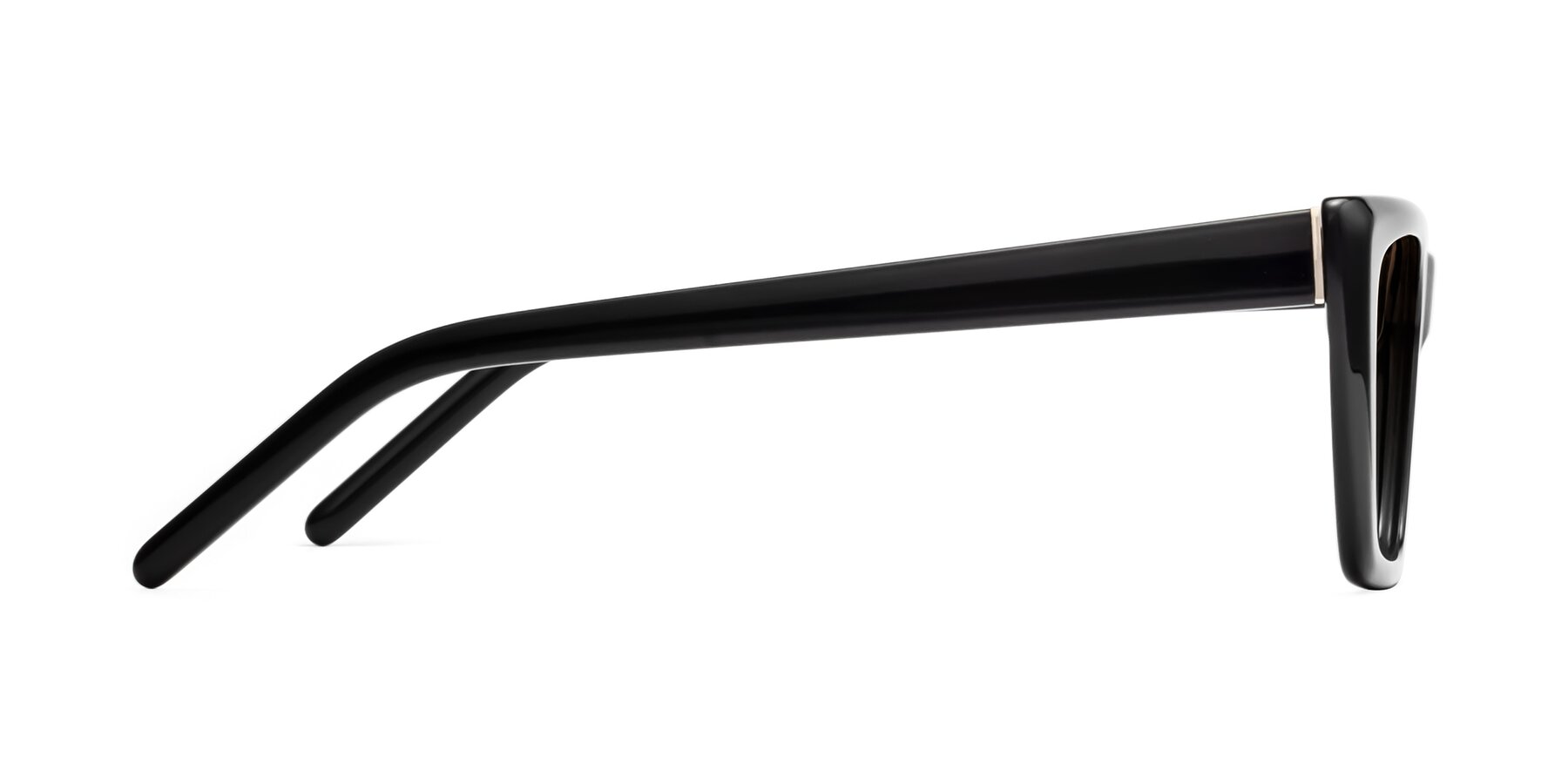 Side of 1494 in Black with Brown Gradient Lenses