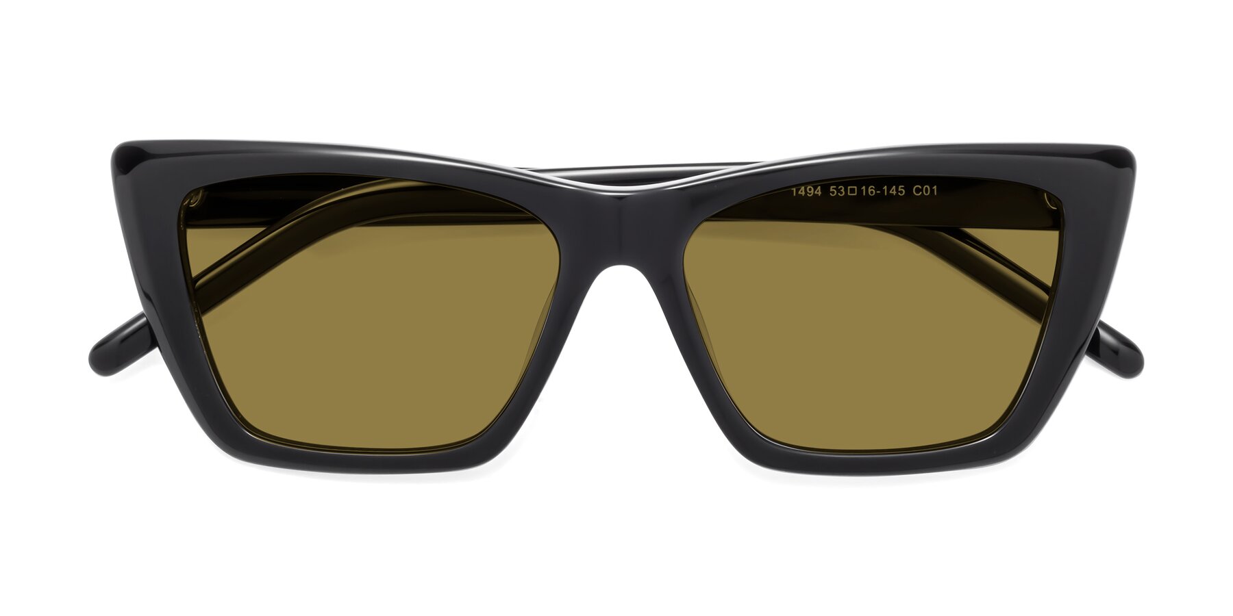 Folded Front of 1494 in Black with Brown Polarized Lenses