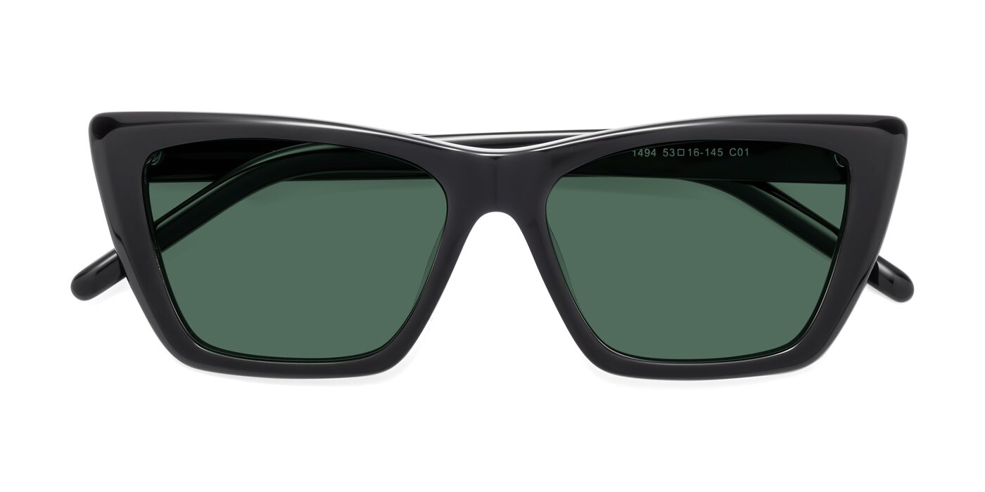 1494 - Black Polarized Sunglasses