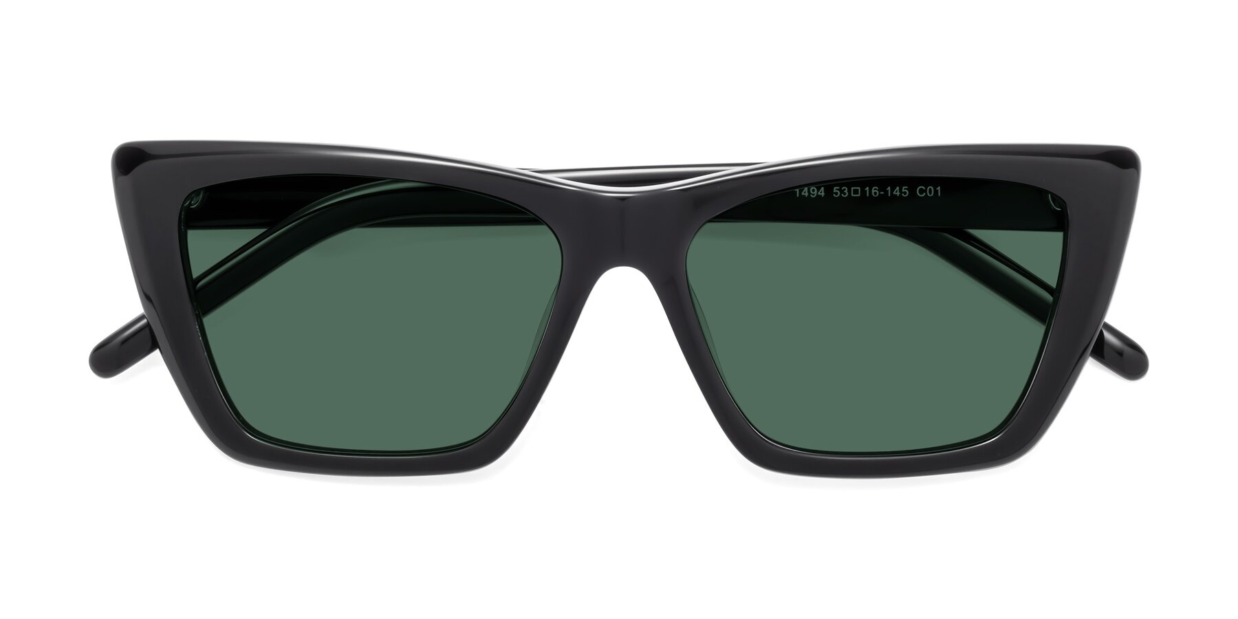 Folded Front of 1494 in Black with Green Polarized Lenses