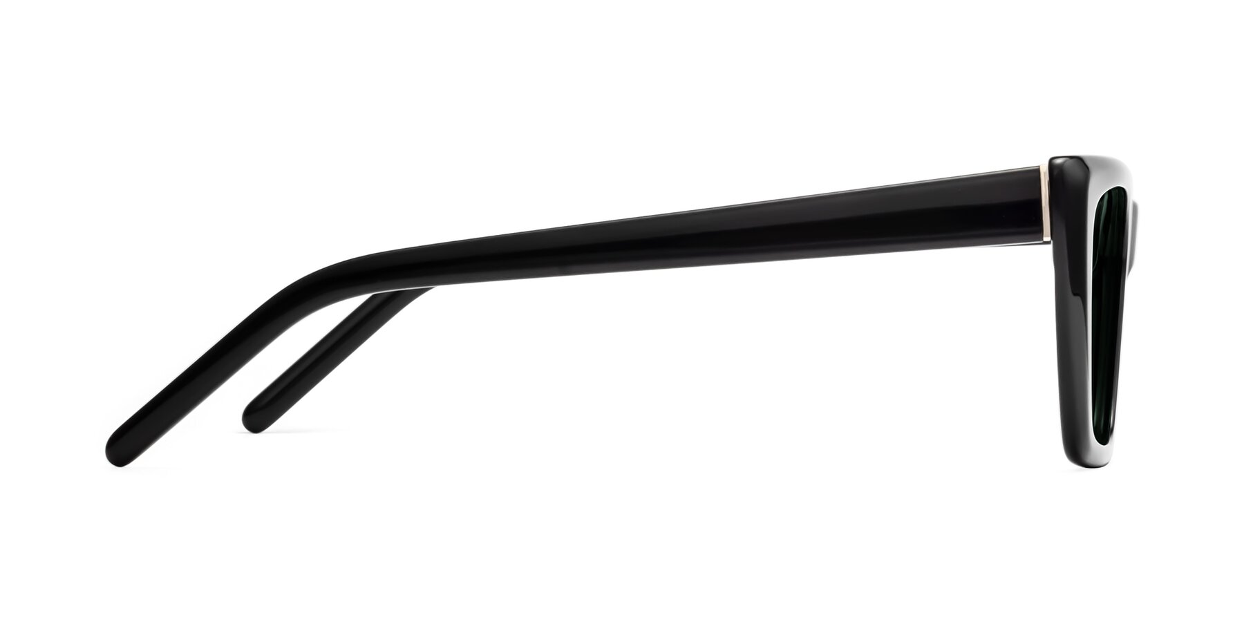 Side of 1494 in Black with Green Polarized Lenses