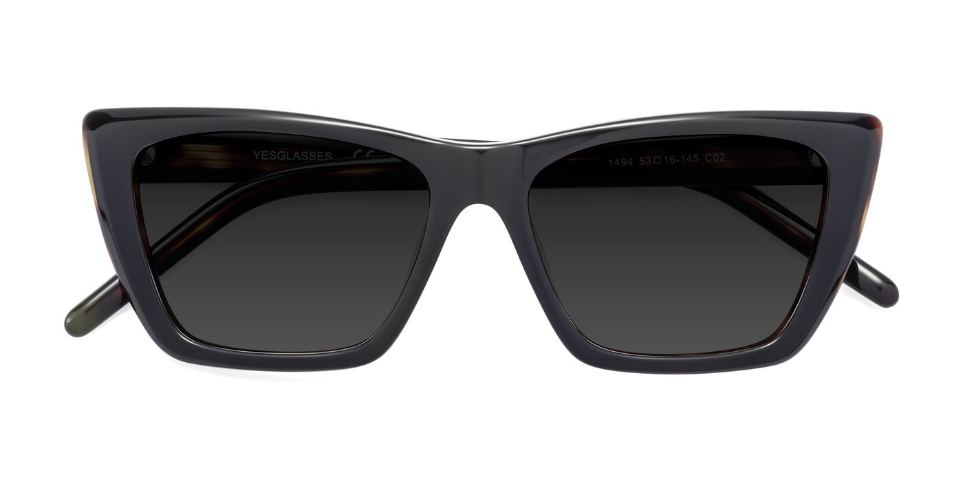 1494 - Tortoise Polarized Sunglasses