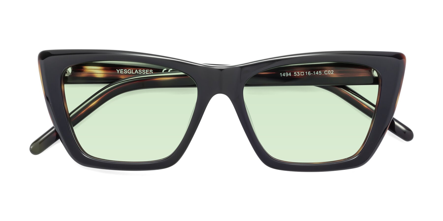 Folded Front of 1494 in Tortoise with Light Green Tinted Lenses