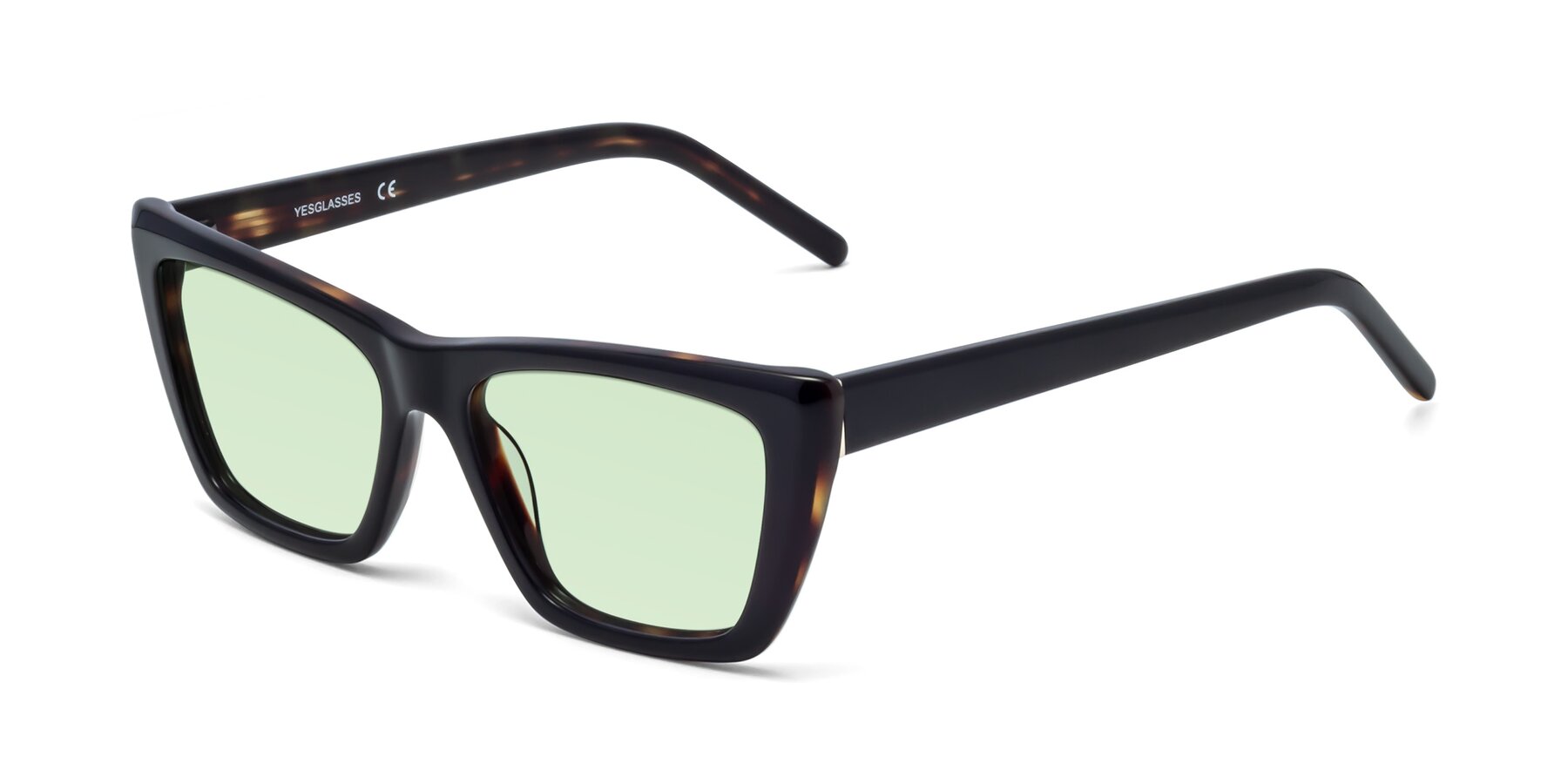 Angle of 1494 in Tortoise with Light Green Tinted Lenses