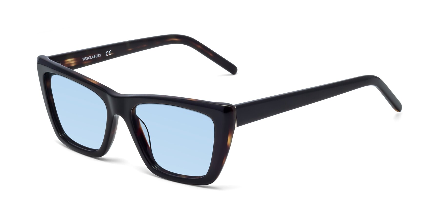 Angle of 1494 in Tortoise with Light Blue Tinted Lenses