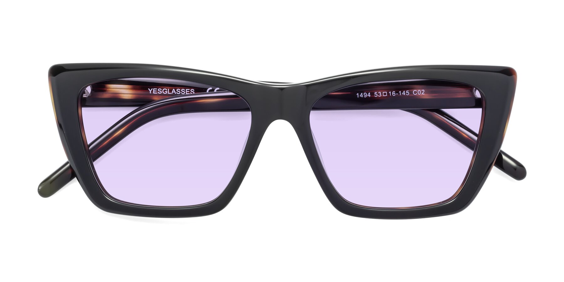 Folded Front of 1494 in Tortoise with Light Purple Tinted Lenses