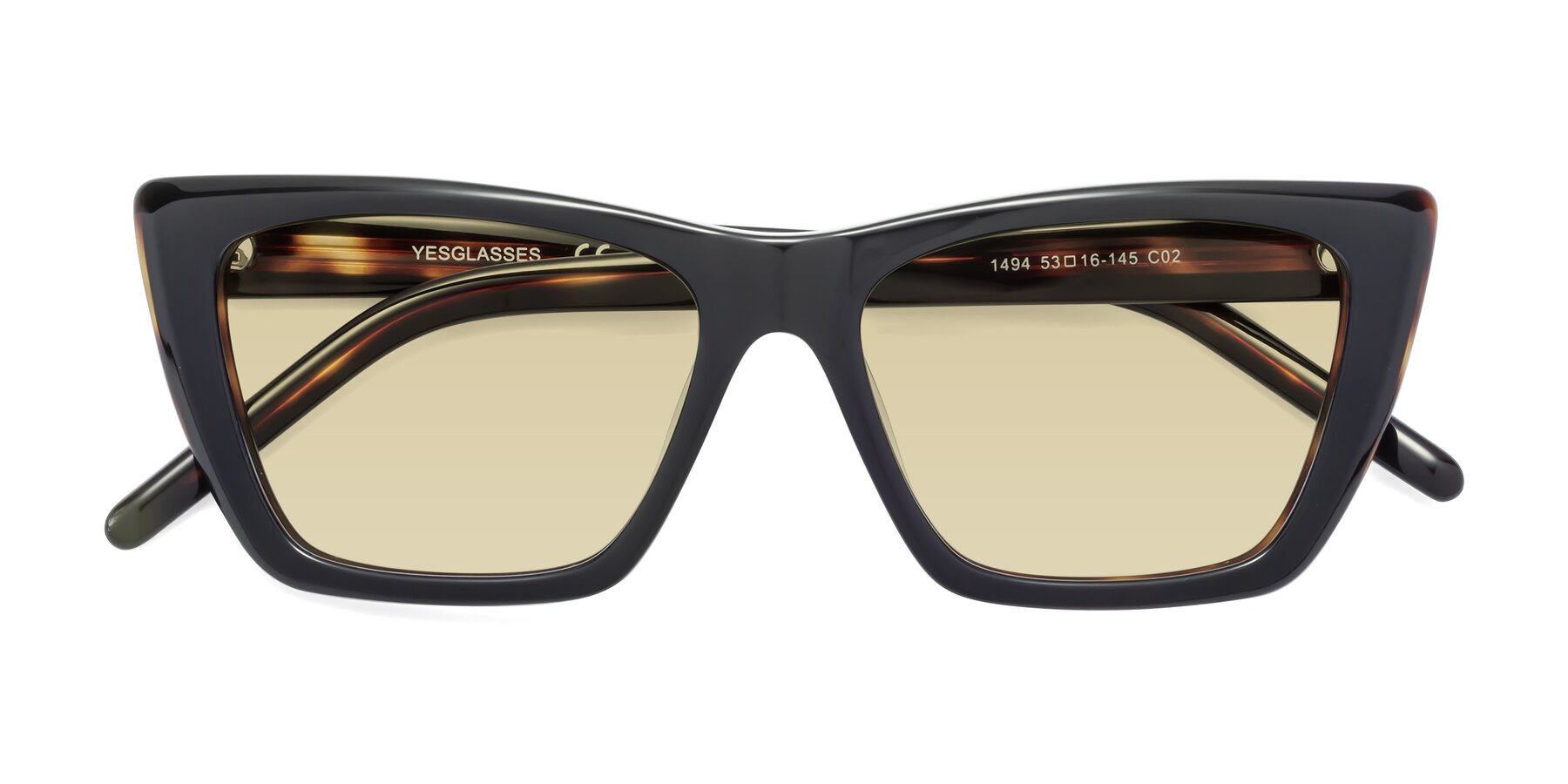 Folded Front of 1494 in Tortoise with Light Champagne Tinted Lenses
