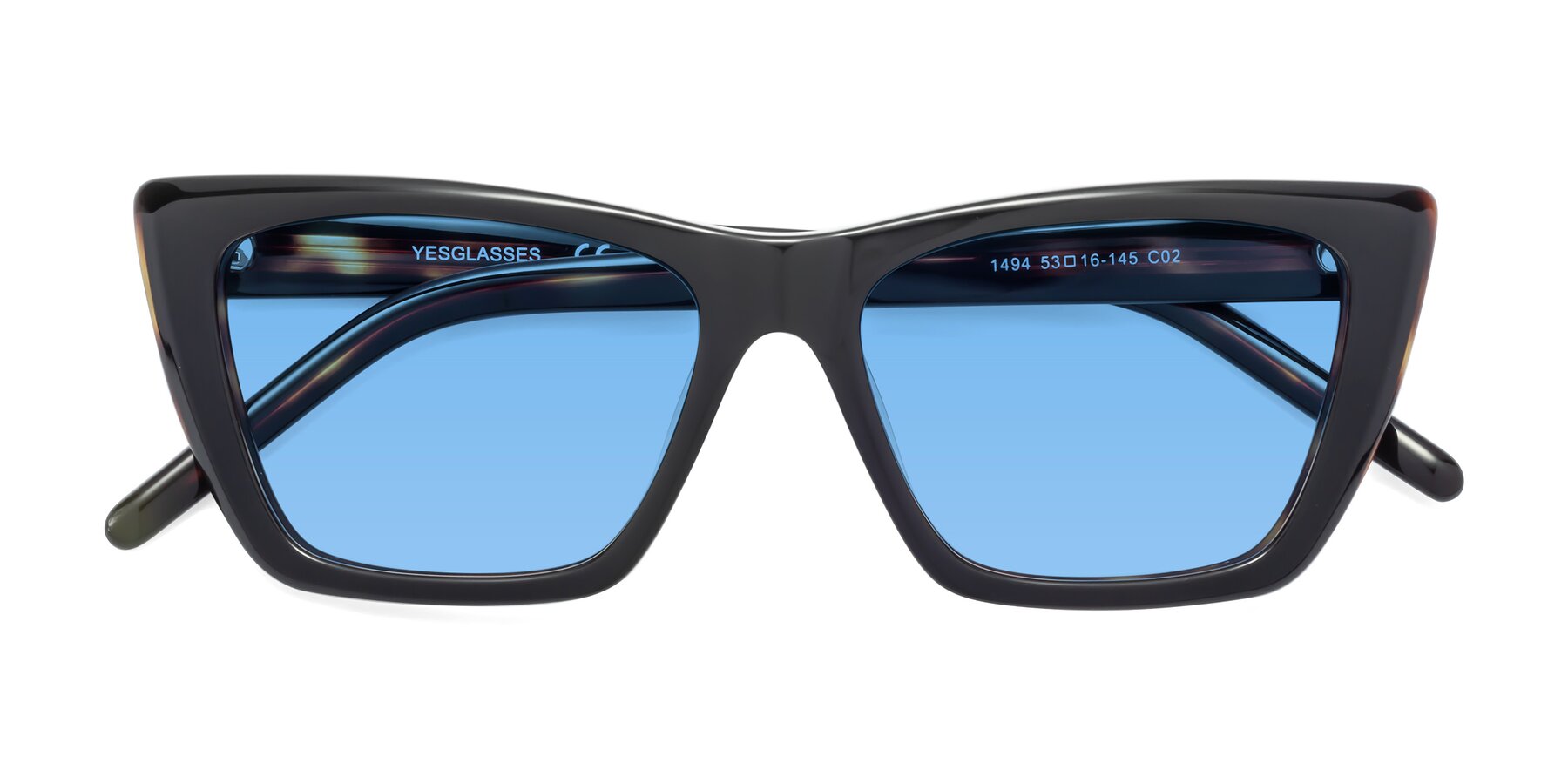 Folded Front of 1494 in Tortoise with Medium Blue Tinted Lenses