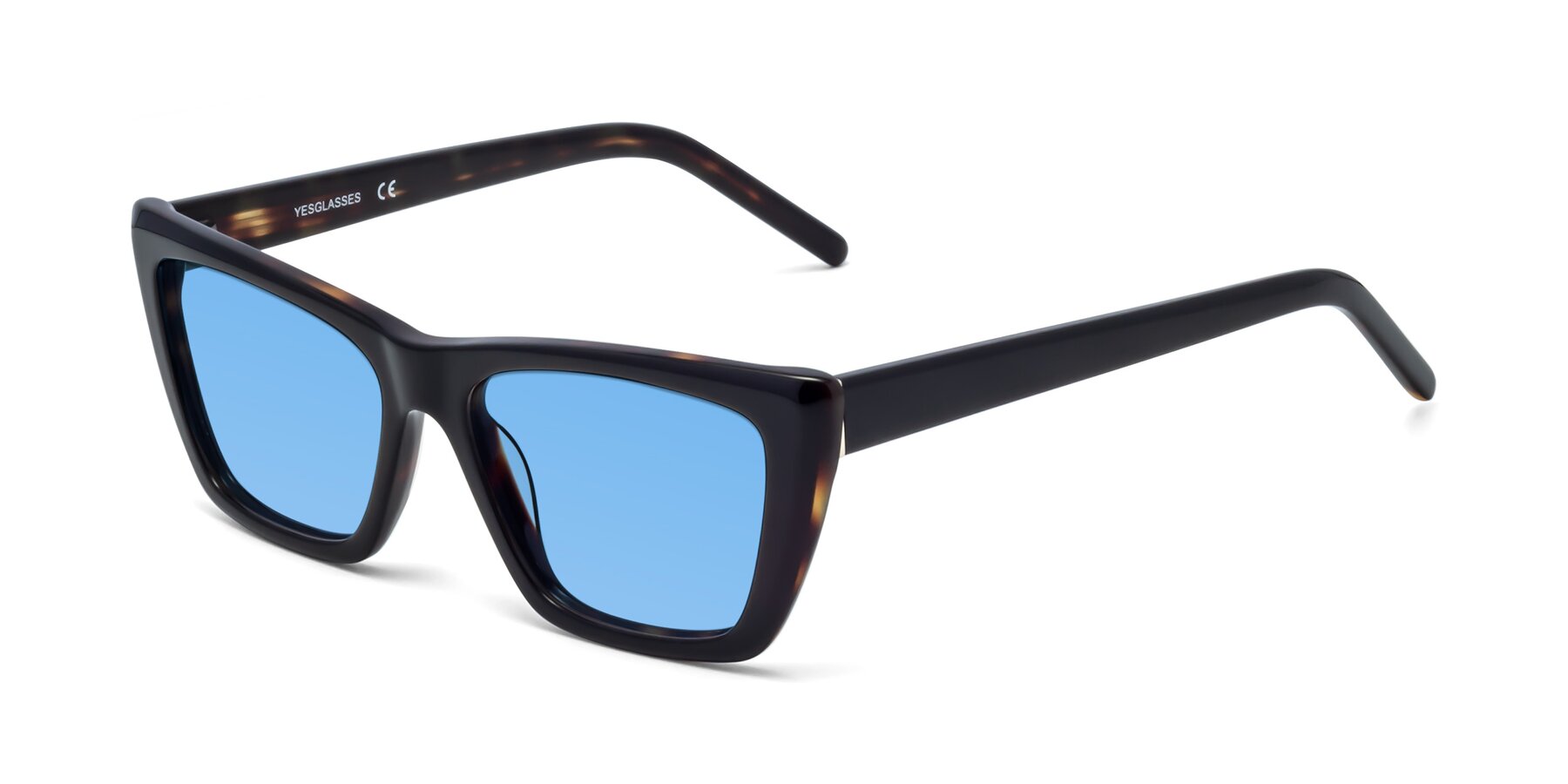 Angle of 1494 in Tortoise with Medium Blue Tinted Lenses