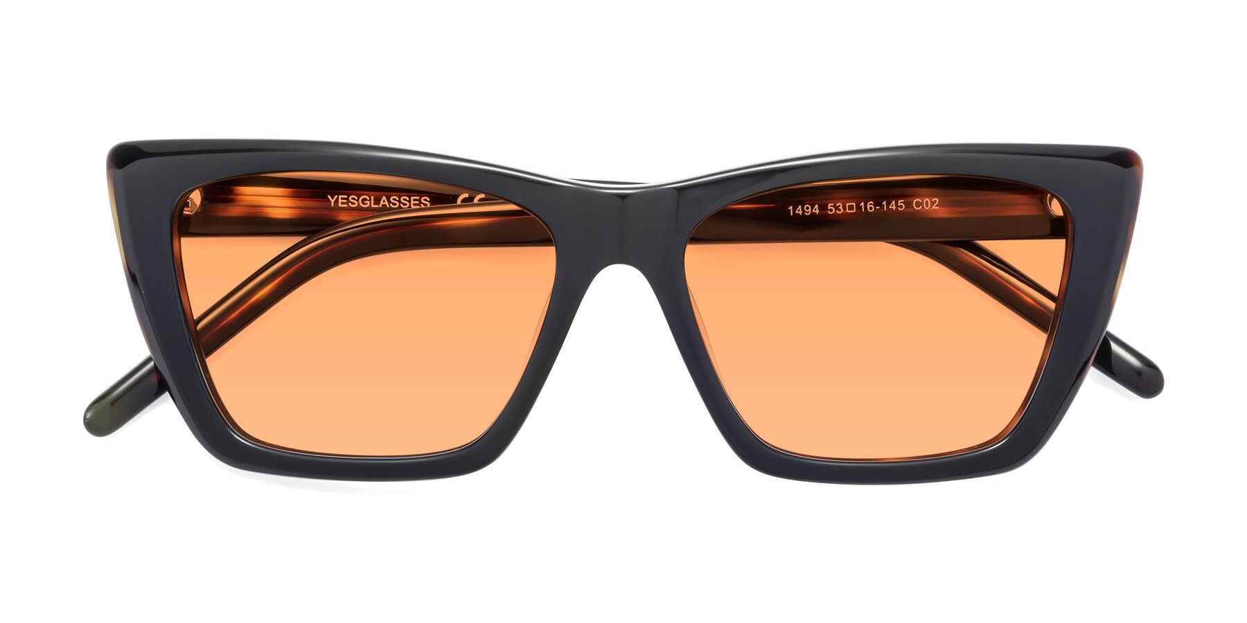 Folded Front of 1494 in Tortoise with Medium Orange Tinted Lenses