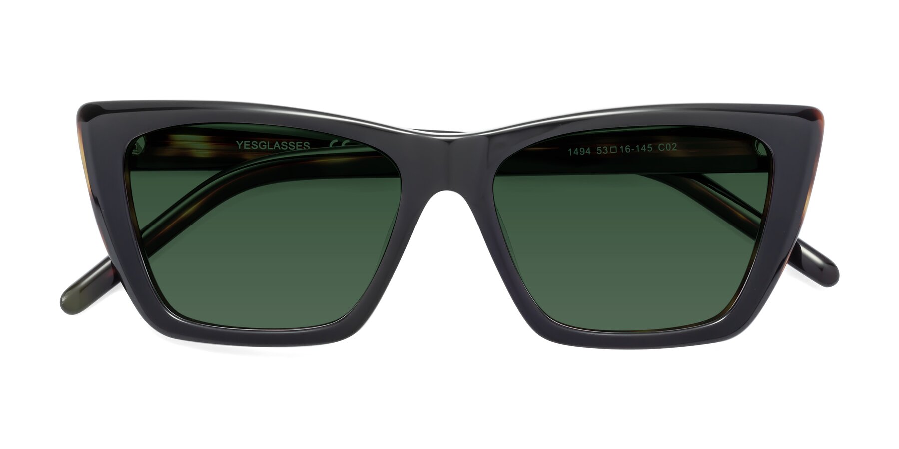 Folded Front of 1494 in Tortoise with Green Tinted Lenses