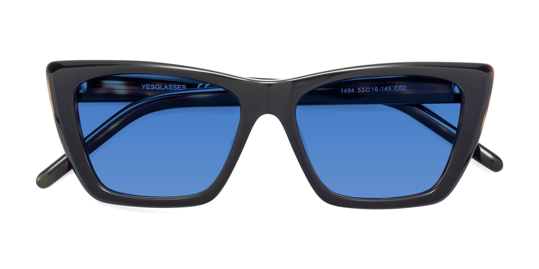 Folded Front of 1494 in Tortoise with Blue Tinted Lenses