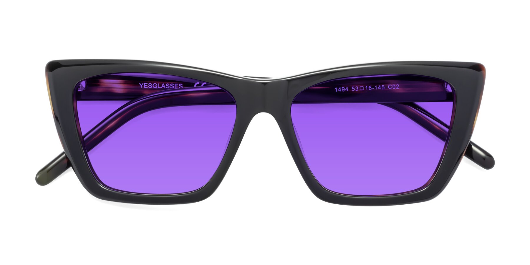 Folded Front of 1494 in Tortoise with Purple Tinted Lenses