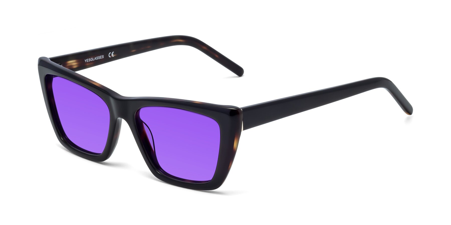 Angle of 1494 in Tortoise with Purple Tinted Lenses