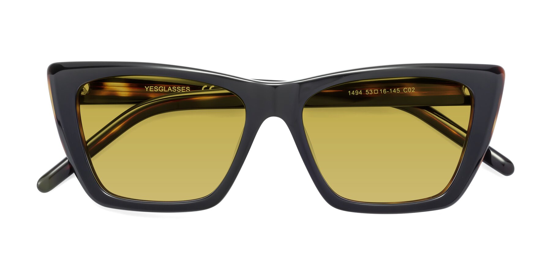 Folded Front of 1494 in Tortoise with Champagne Tinted Lenses
