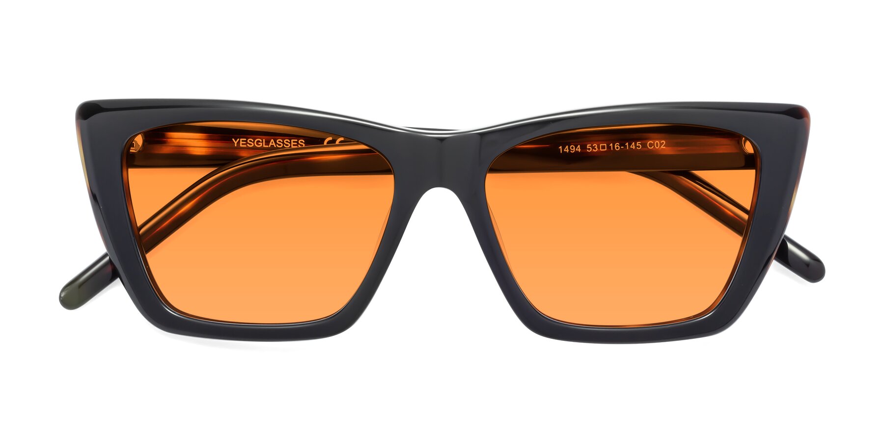 Folded Front of 1494 in Tortoise with Orange Tinted Lenses