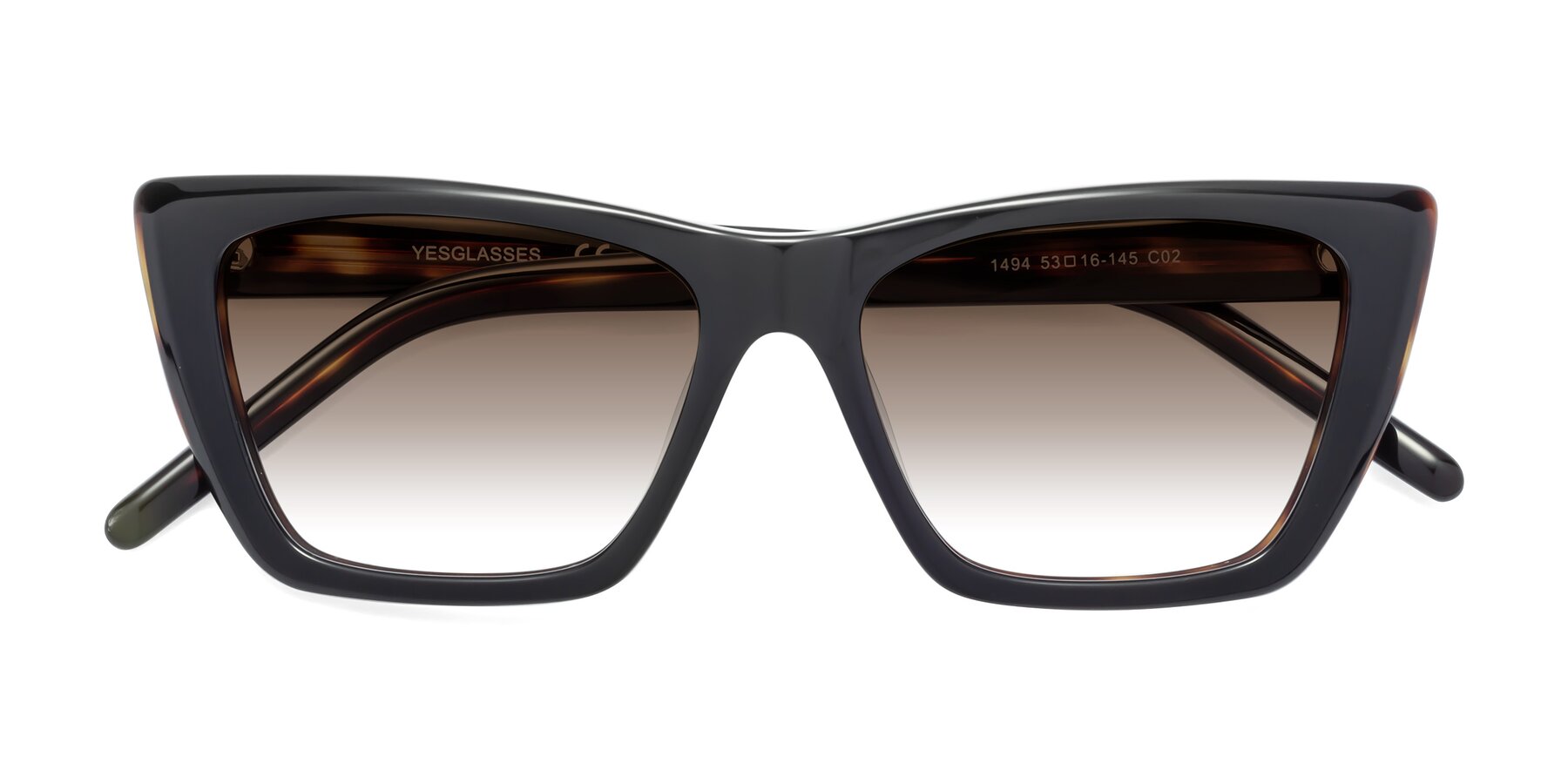 Folded Front of 1494 in Tortoise with Brown Gradient Lenses