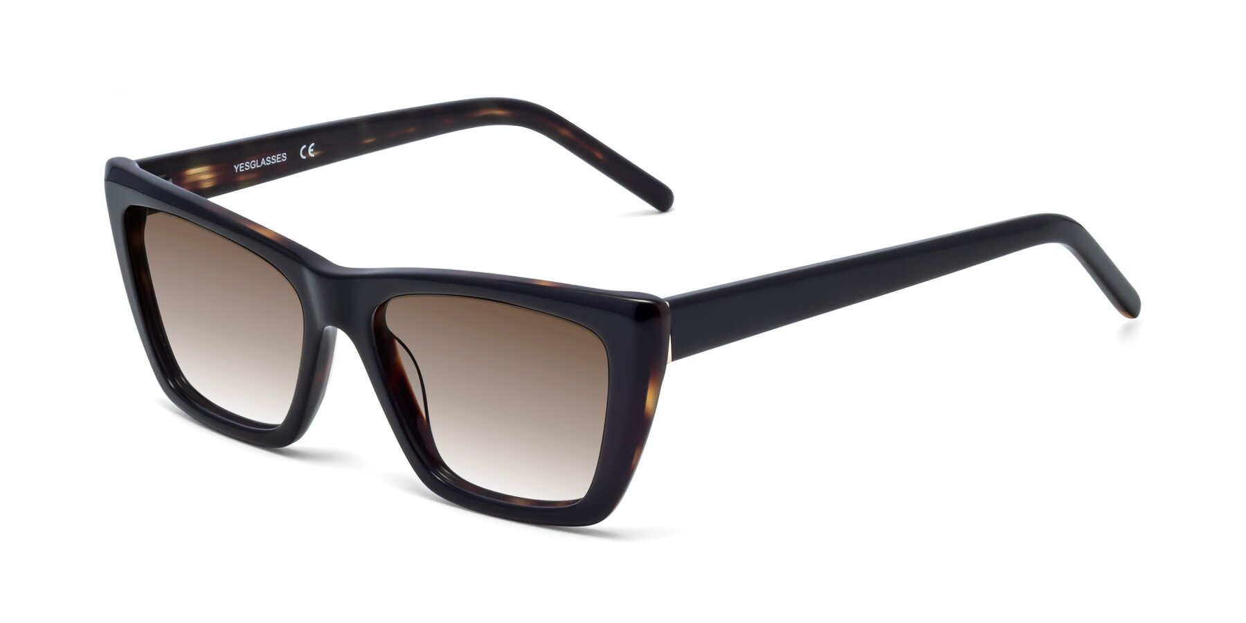 Angle of 1494 in Tortoise with Brown Gradient Lenses