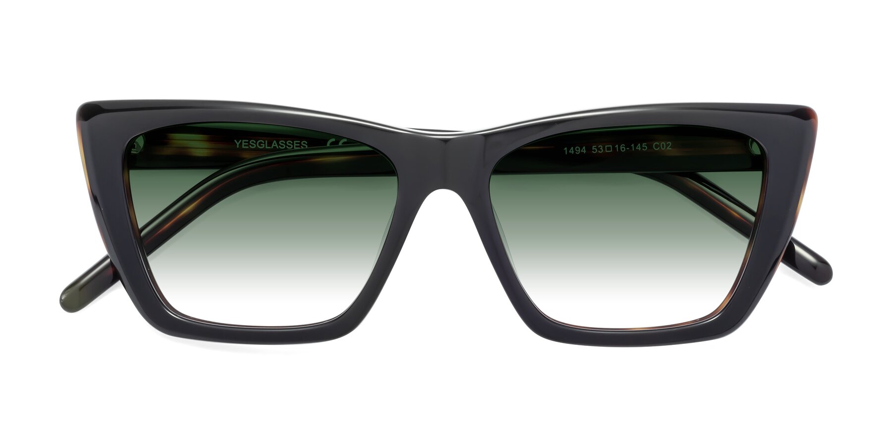 Folded Front of 1494 in Tortoise with Green Gradient Lenses