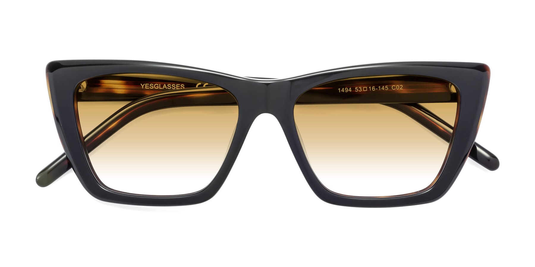 Folded Front of 1494 in Tortoise with Champagne Gradient Lenses
