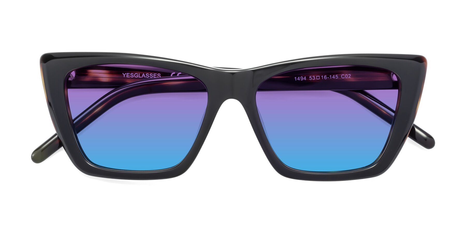 Folded Front of 1494 in Tortoise with Purple / Blue Gradient Lenses