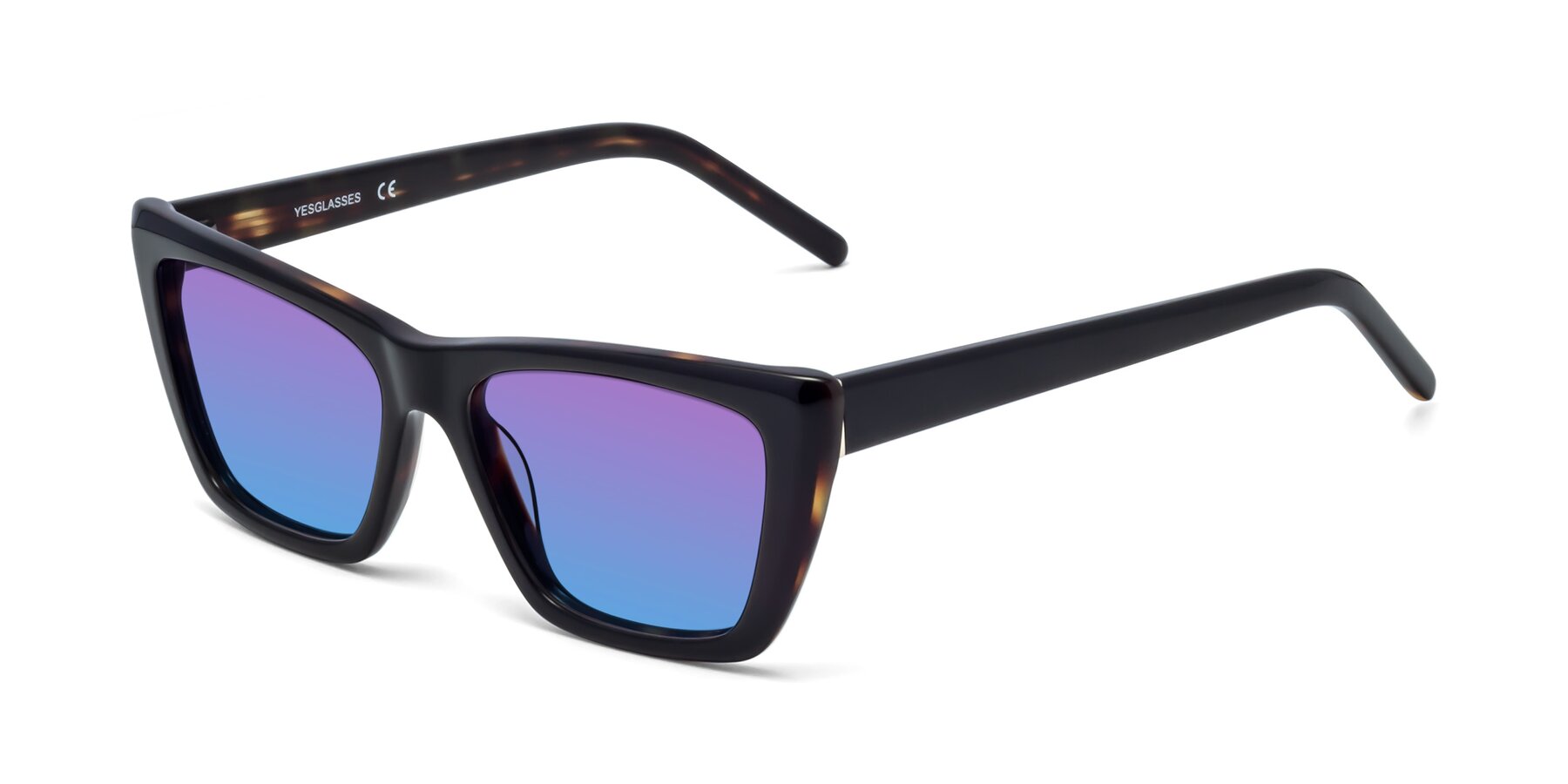 Angle of 1494 in Tortoise with Purple / Blue Gradient Lenses
