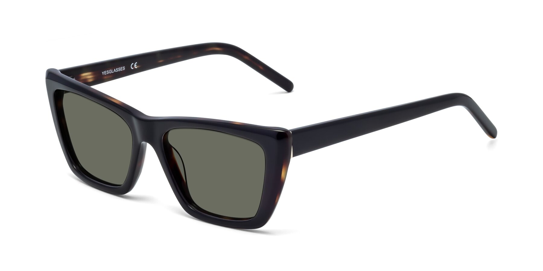 Angle of 1494 in Tortoise with Gray Polarized Lenses