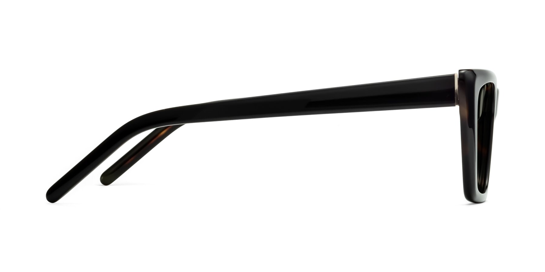 Side of 1494 in Tortoise with Gray Polarized Lenses