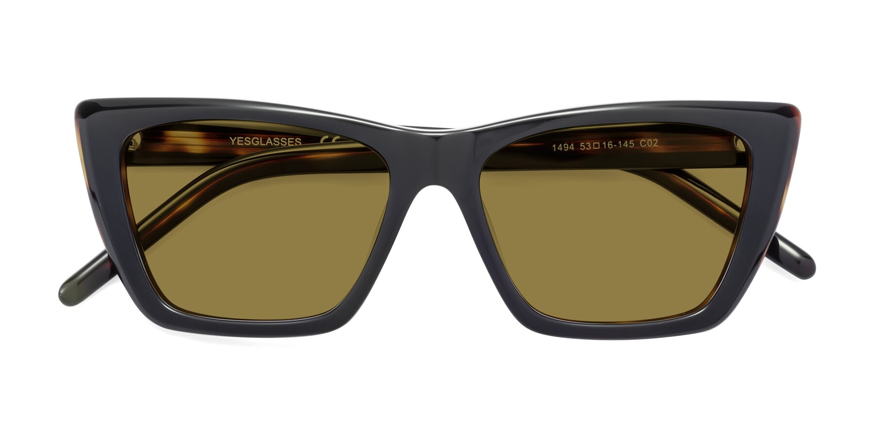 Folded Front of 1494 in Tortoise with Brown Polarized Lenses